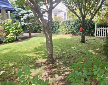 331 Richmond Avenue - Photo Thumbnail 43