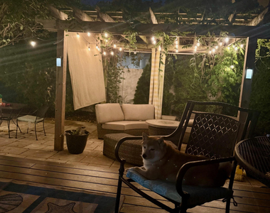 331 Richmond Avenue - Photo Thumbnail 29