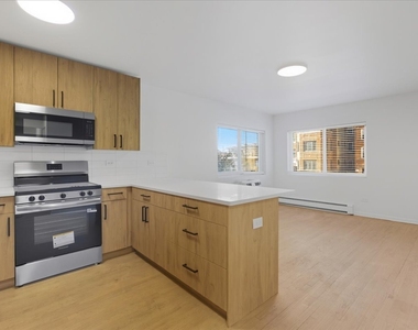 7359 N Winchester Avenue - Photo Thumbnail 1