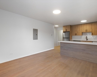 7359 N Winchester Avenue - Photo Thumbnail 4
