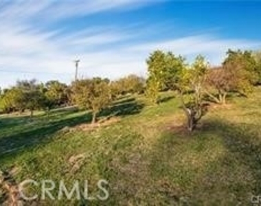 2440 Los Alisos Drive - Photo Thumbnail 9