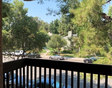 22100 Burbank - Photo Thumbnail 16