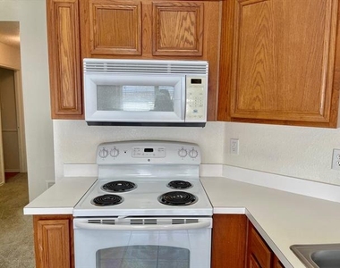 1008 Rock Springs Drive - Photo Thumbnail 12