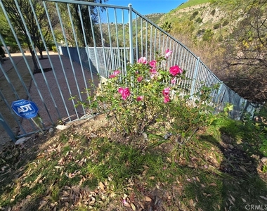 7169 Castle Peak - Photo Thumbnail 46