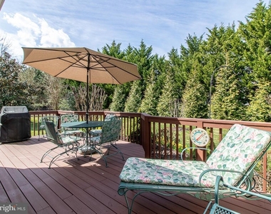 10 Wellington Place - Photo Thumbnail 19