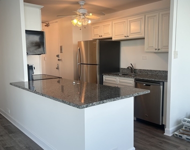 4800 S Chicago Beach Drive - Photo Thumbnail 8