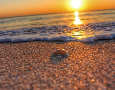 2700 N Highway A1a - Photo Thumbnail 15
