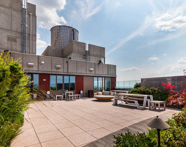 111 Lawrence Street - Photo Thumbnail 22