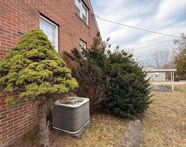 11 Strawberry Lane - Photo Thumbnail 17
