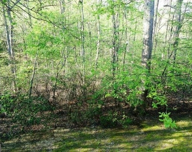 10225 Cove Ledge Court - Photo Thumbnail 10