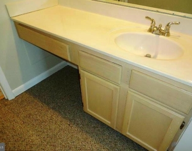 10225 Cove Ledge Court - Photo Thumbnail 15
