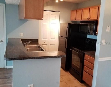 803 Lake Haven Square - Photo Thumbnail 11