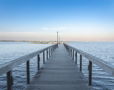 164 Osprey Preserve Boulevard - Photo Thumbnail 49