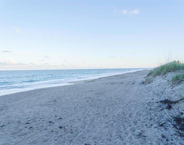 164 Osprey Preserve Boulevard - Photo Thumbnail 43