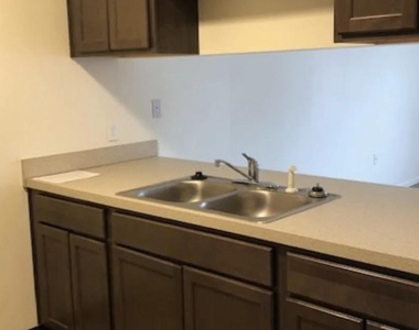 424 W Ave Reed City - Photo Thumbnail 12
