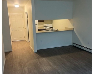 424 W Ave Reed City - Photo Thumbnail 18
