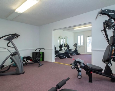 802 Buttonwood Drive - Photo Thumbnail 52