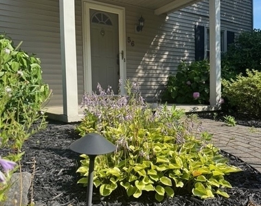 56 Tree Brook Drive - Photo Thumbnail 1
