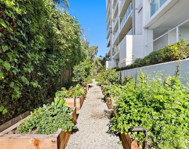 101 Ocean Avenue - Photo Thumbnail 21
