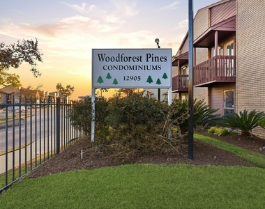 12905 Woodforest Boulevard - Photo Thumbnail 2
