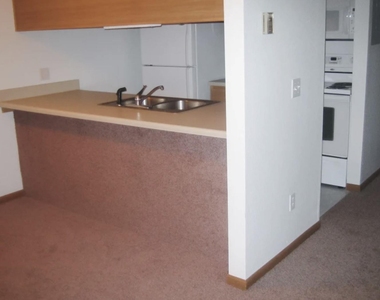 260 N Maple Road - Photo Thumbnail 4