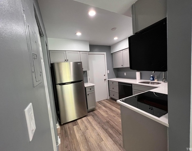 220 Elizabeth Street - Photo Thumbnail 11