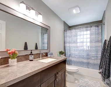 702 Grove Street - Photo Thumbnail 23