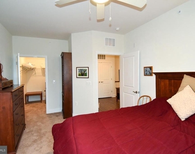 23610 Havelock Walk Terrace - Photo Thumbnail 29