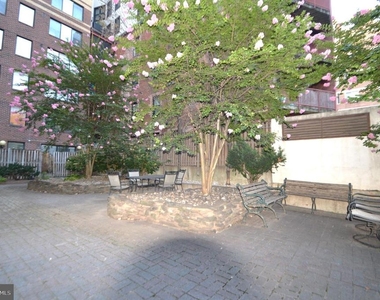 1245 13th Street Nw - Photo Thumbnail 22