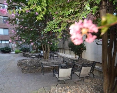 1245 13th Street Nw - Photo Thumbnail 21