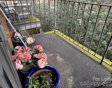 1323 Queens Road - Photo Thumbnail 18