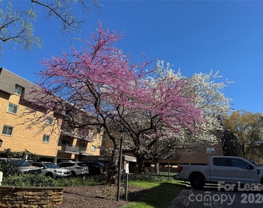 1323 Queens Road - Photo Thumbnail 37
