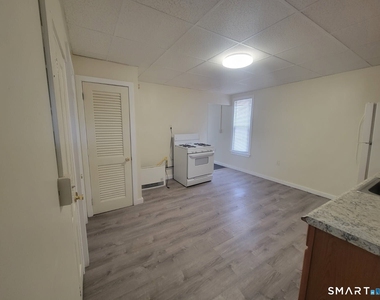 20 Lounsbury Avenue - Photo Thumbnail 4