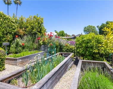 30421 Mirador Court - Photo Thumbnail 58