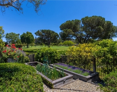 30421 Mirador Court - Photo Thumbnail 56