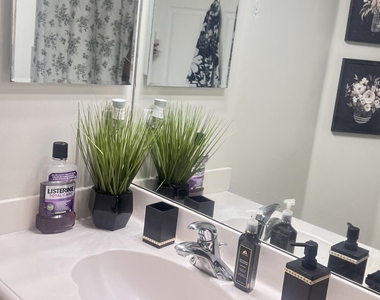 4091 Plumbago Place - Photo Thumbnail 4