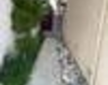 8425 Burnet - Photo Thumbnail 3