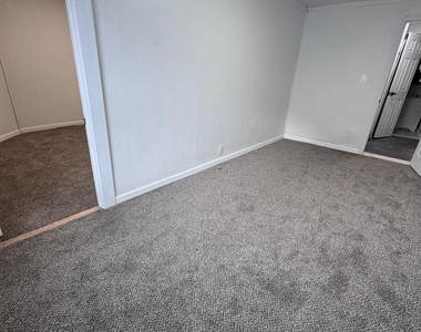 20 Sycamore Street - Photo Thumbnail 14