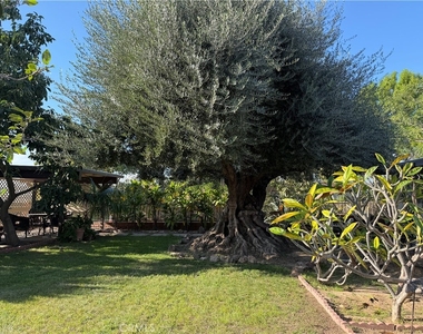 3590 Buchanan Street - Photo Thumbnail 66