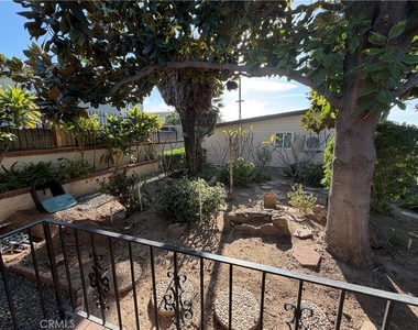 3590 Buchanan Street - Photo Thumbnail 44