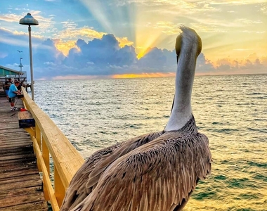 1012 N Ocean Boulevard - Photo Thumbnail 38