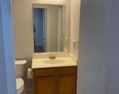 3805 Brandon Park Drive - Photo Thumbnail 4