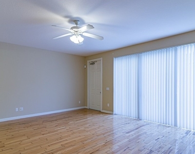 28576 Alessandria Circle - Photo Thumbnail 11