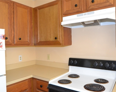 304 Dell Court - Photo Thumbnail 11