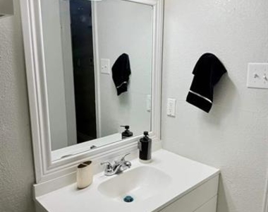 1001 Pecan Crossing Drive - Photo Thumbnail 6