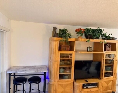 133 N Pompano Beach Boulevard - Photo Thumbnail 15
