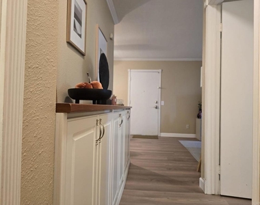 528 Anita Street - Photo Thumbnail 15