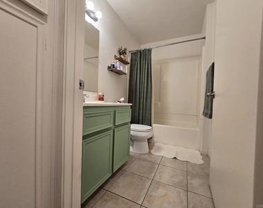 528 Anita Street - Photo Thumbnail 19