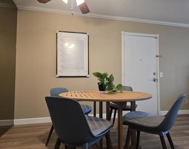 528 Anita Street - Photo Thumbnail 13