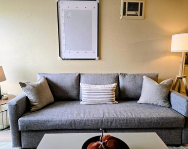 528 Anita Street - Photo Thumbnail 4